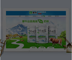 電(diàn)商首頁設計(jì)服務
