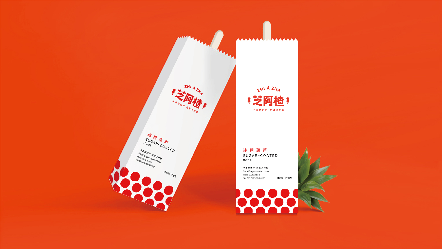 案例-芝阿楂-08