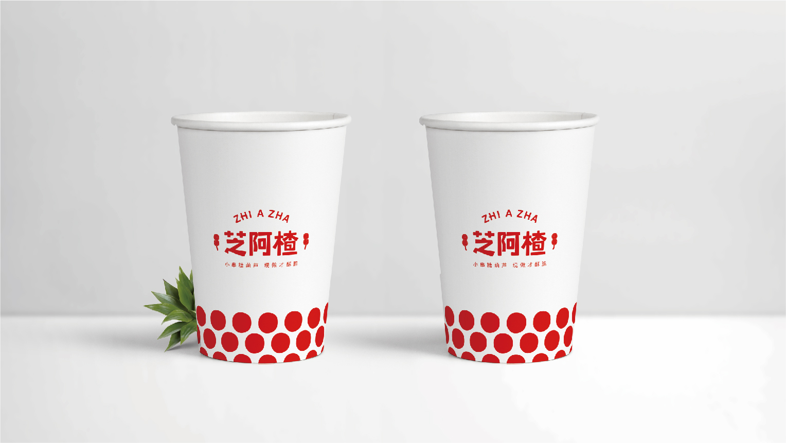 案例-芝阿楂-10