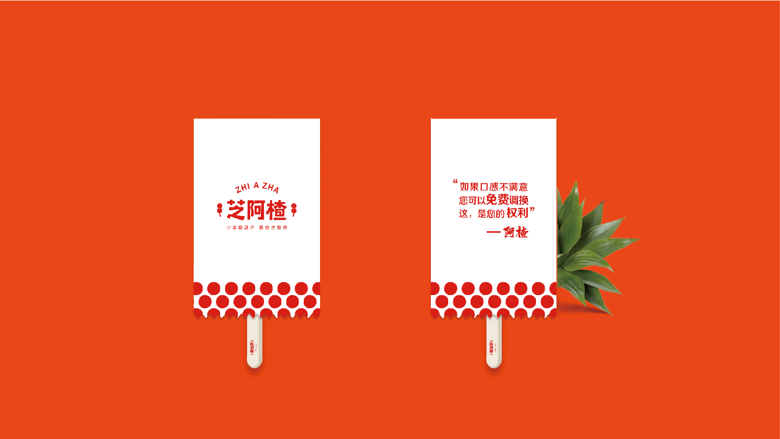 案例-芝阿楂-12