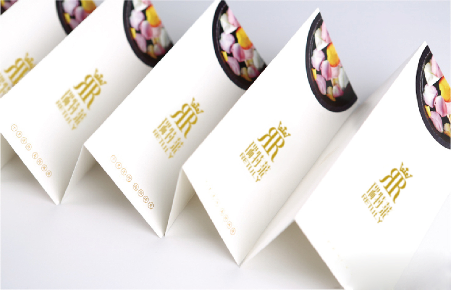 案例-瑞特萊-11