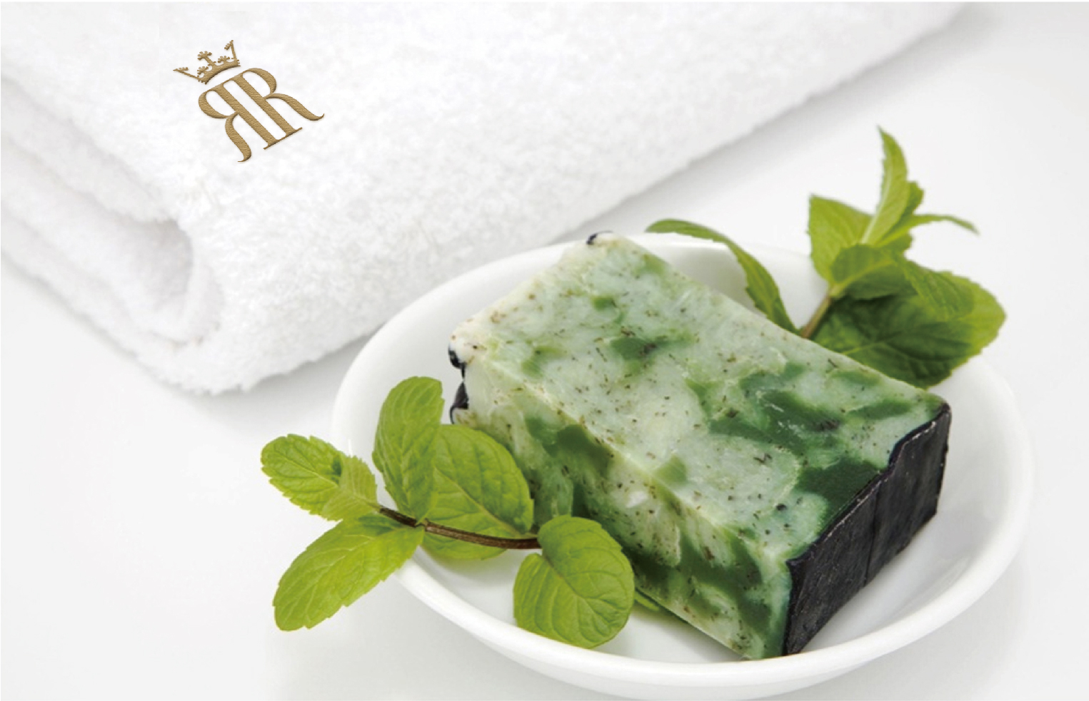 案例-瑞特萊-13