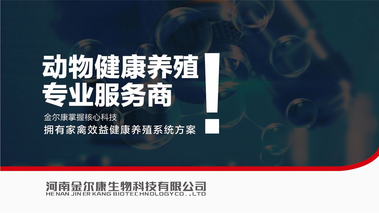 金(jīn)爾康輔助圖形-17