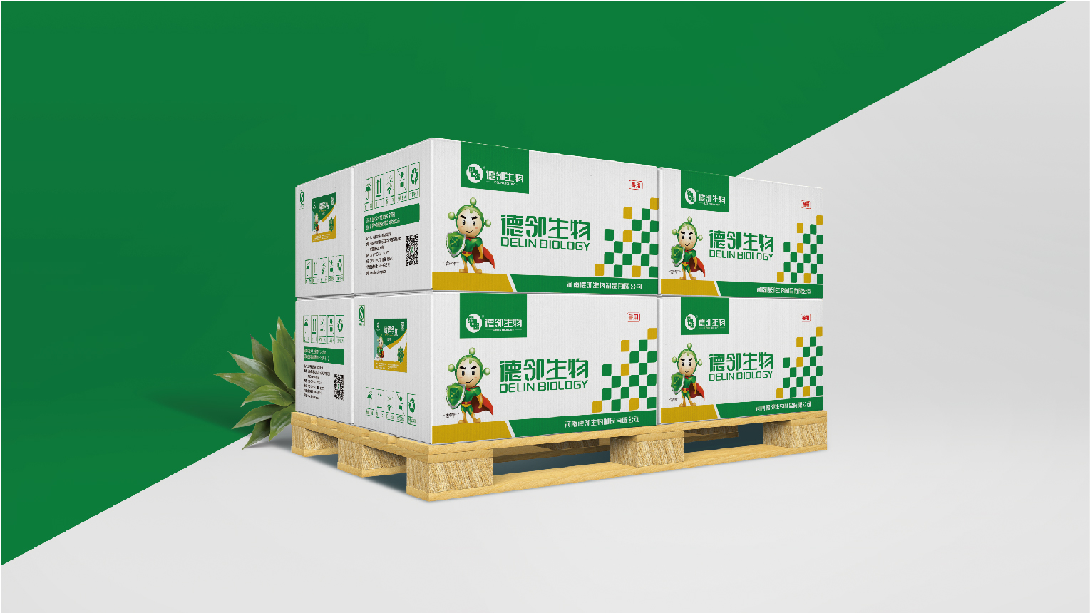 德鄰生(shēng)物(wù)VI-可(kě)編輯-14
