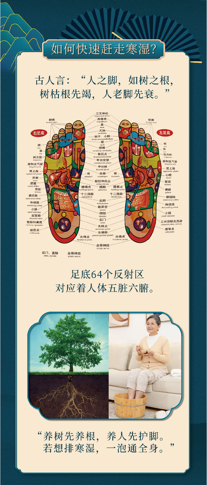 案例-五行(xíng)舒體(tǐ)-13.jpg